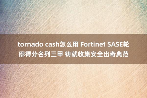 tornado cash怎么用 Fortinet SASE轮廓得分名列三甲 铸就收集安全出奇典范